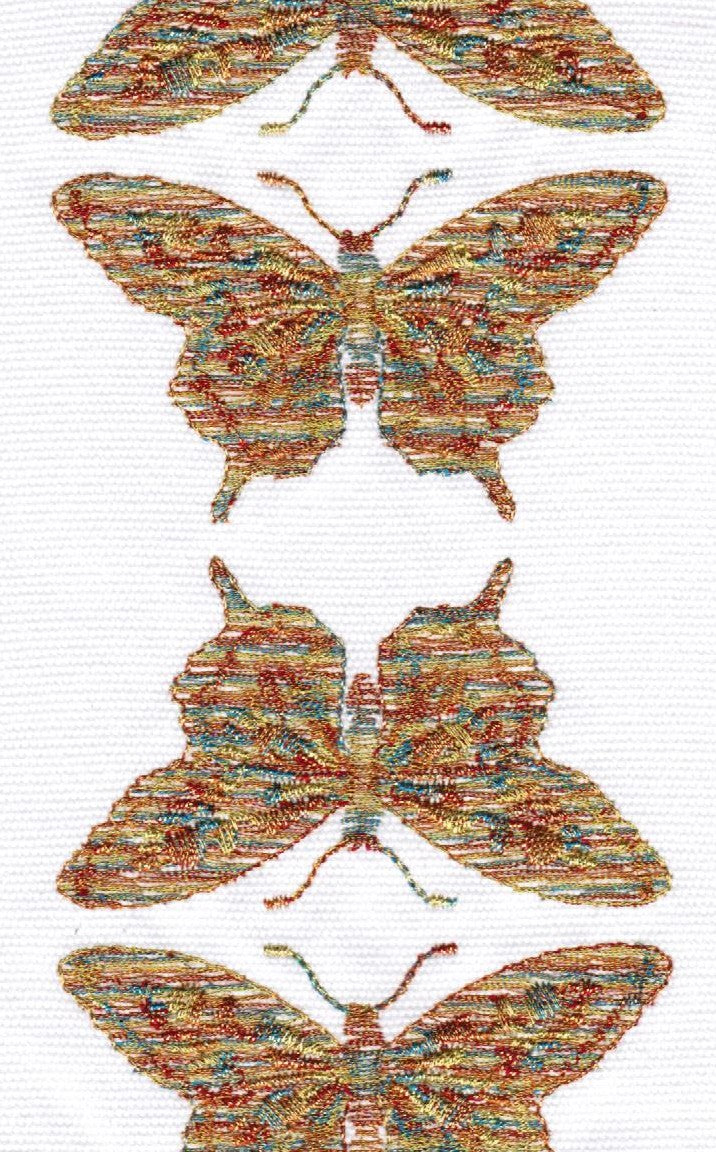 Butterfly Rainbow